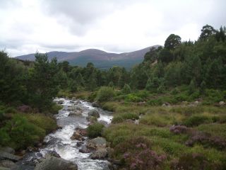 Cairngorm Stream